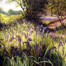 Схема вышивки «Серия "Полевые цветы"»