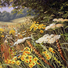 Схема вышивки «Серия "Полевые цветы"»