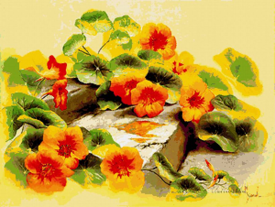 Серия "Полевые цветы" - пейзаж, лето, поле, цветы, настурция - предпросмотр