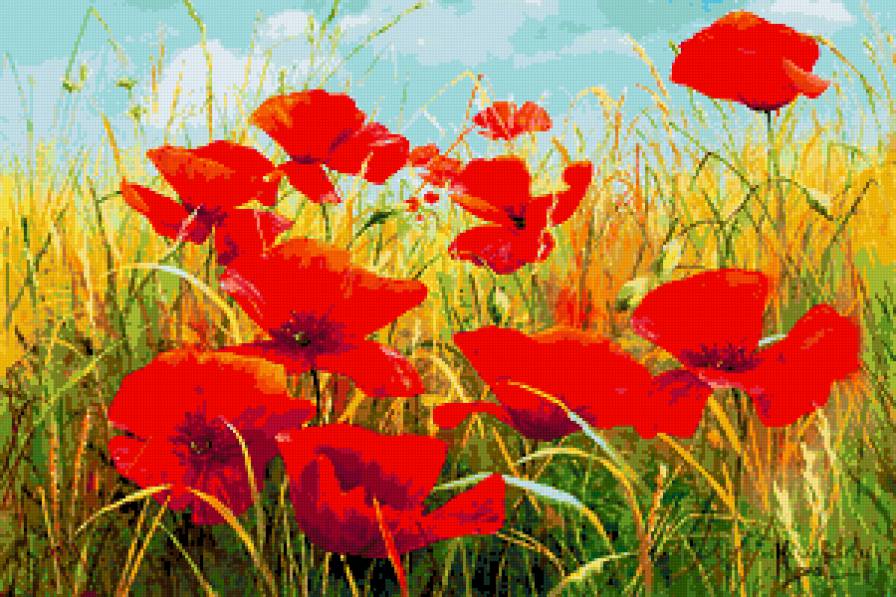 Серия "Полевые цветы" - цветы, лето, пейзаж, маки, поле - предпросмотр