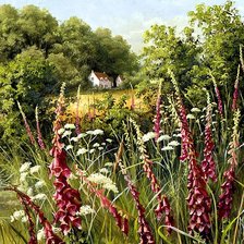 Схема вышивки «Серия "Полевые цветы"»