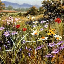 Схема вышивки «Серия "Полевые цветы"»