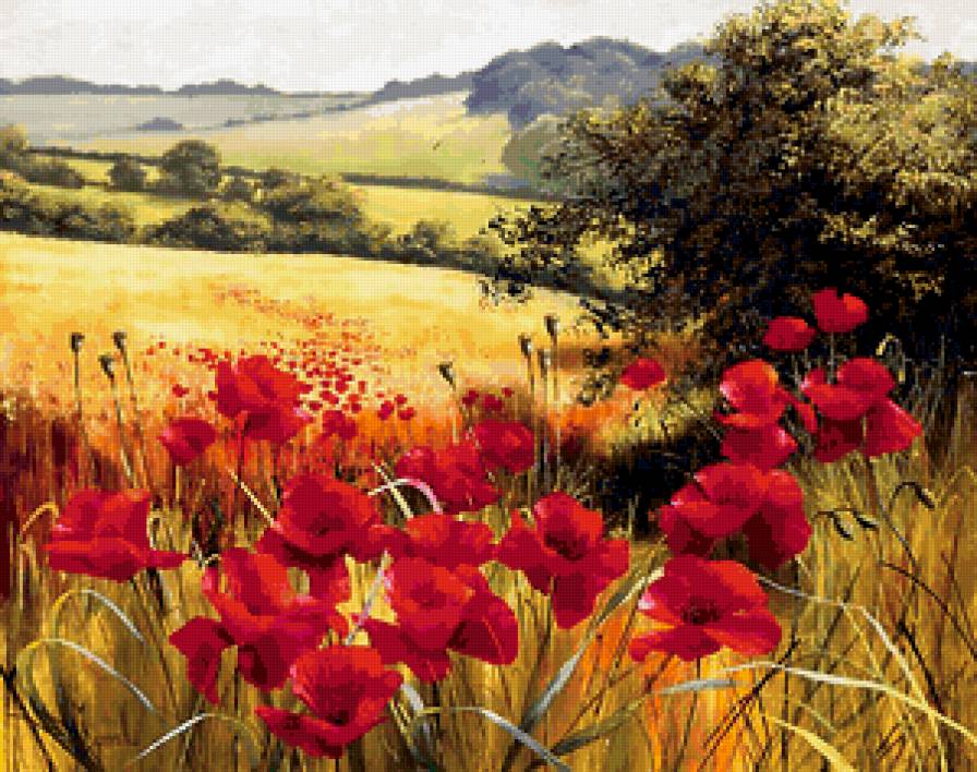 Серия "Полевые цветы" - маки, пейзаж, лето, цветы, поле - предпросмотр