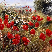 Схема вышивки «Серия "Полевые цветы"»