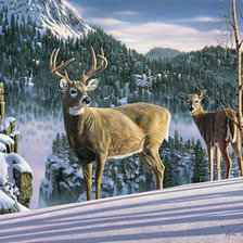 Схема вышивки «№398898»