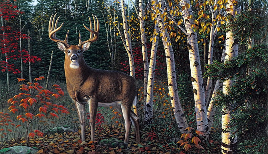 №398899 - охота, птицы, дикая природа, медведи, олени, орлы, утки, волки - оригинал