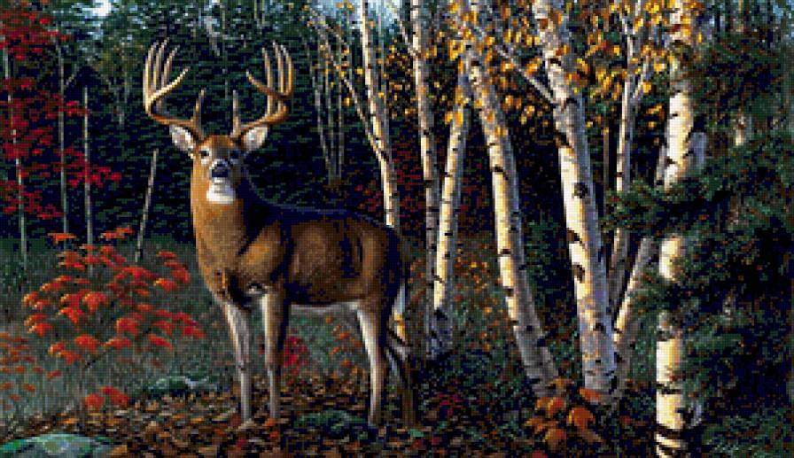 №398899 - олени, утки, волки, медведи, птицы, дикая природа, охота, орлы - предпросмотр