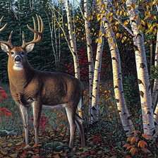 Схема вышивки «№398899»