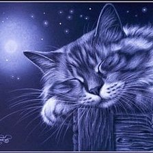 Схема вышивки «Кошки И. Гармашовой»