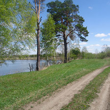 Схема вышивки «проселочная дорога»