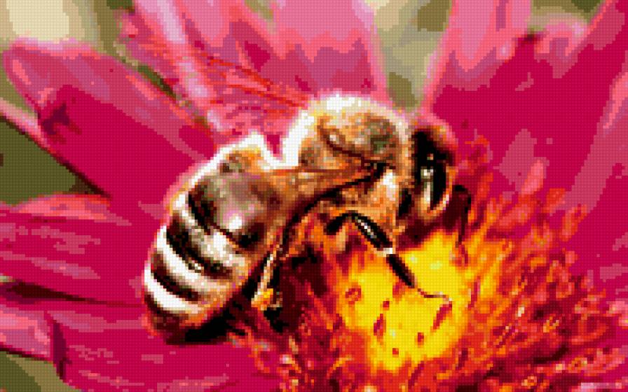 Пчела на цветке - предпросмотр