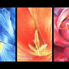 Схема вышивки «Вера.Надежда.Любовь»