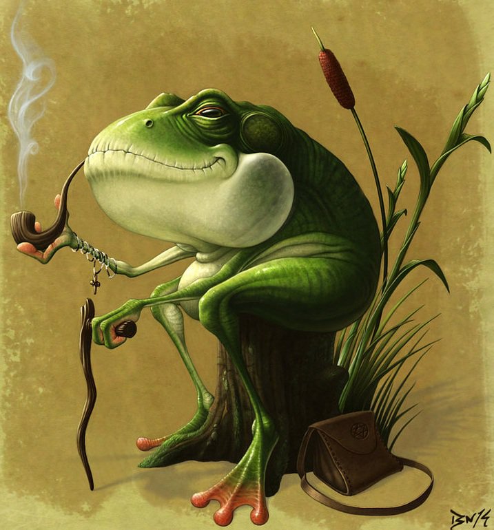 мудрый_жаб - жаба - оригинал