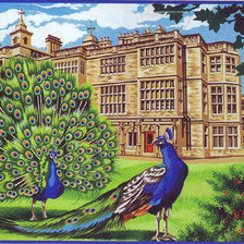 Схема вышивки «королевские павлины»