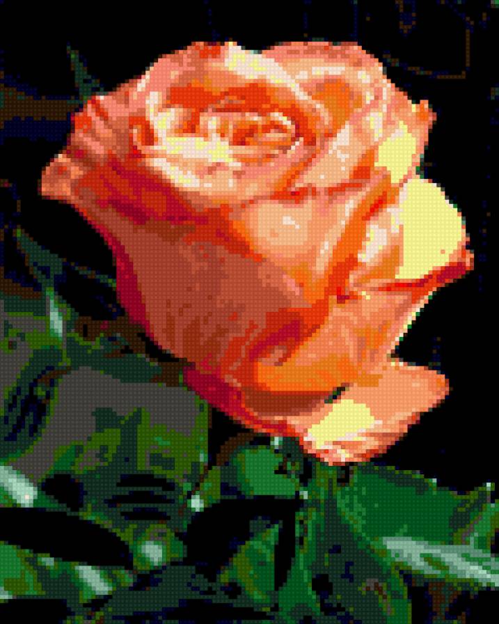 кремовая - роза - предпросмотр