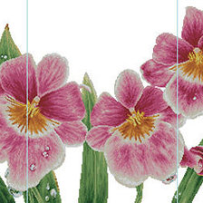 Схема вышивки «Мильтония»