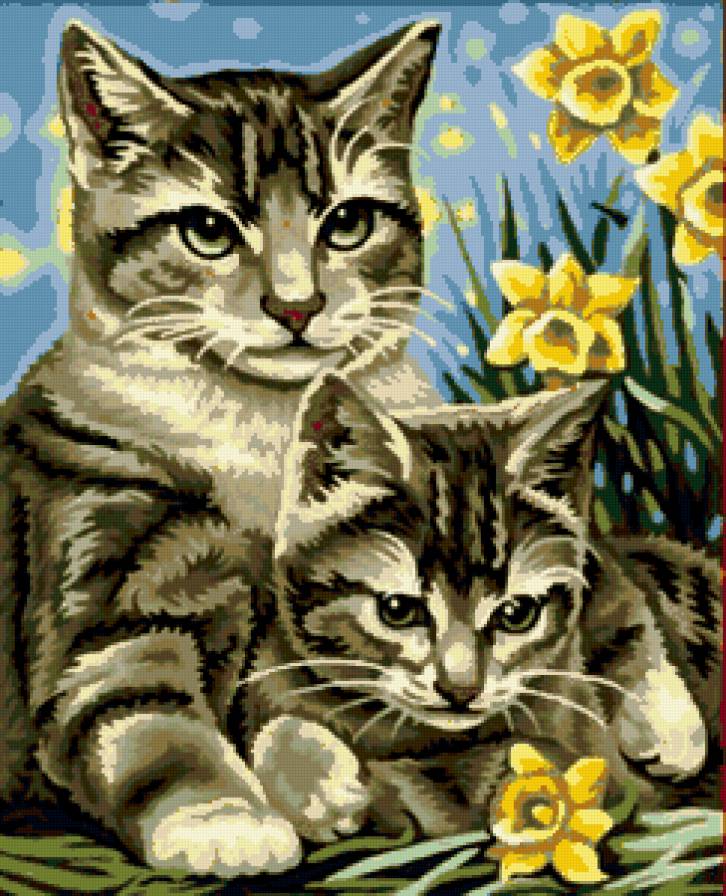 cat - cat - предпросмотр