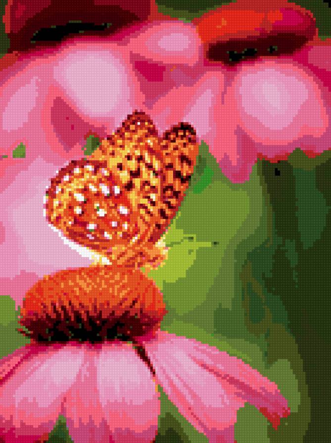 бабочка - предпросмотр