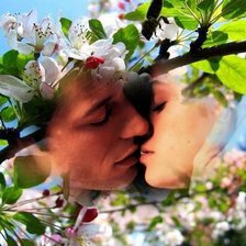 Схема вышивки «серия "пары"»