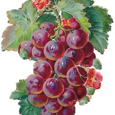 Схема вышивки «№399358»