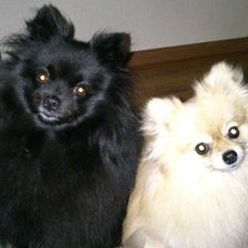 Схема вышивки «№399360»