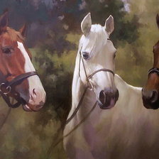 Автор Spartaco Lombardo