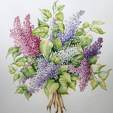 букет сирени