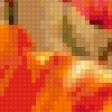 Предпросмотр схемы вышивки «маки» (№399414)