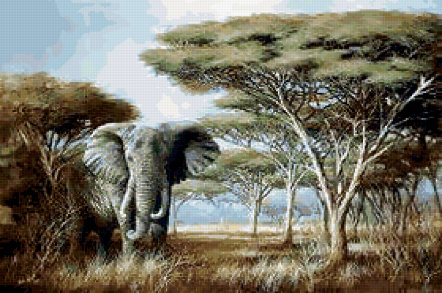 слон - предпросмотр