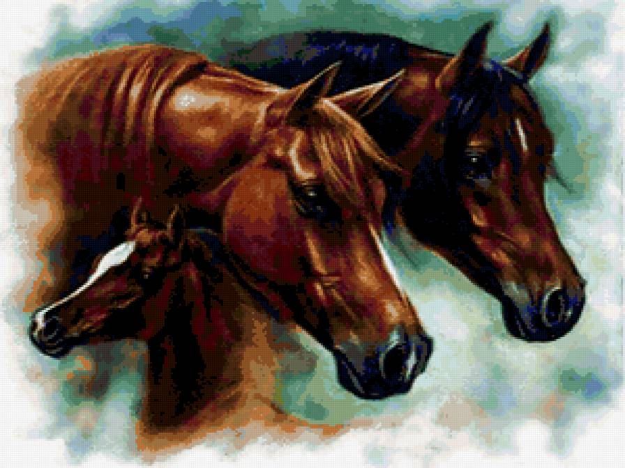 семья - лошади - предпросмотр