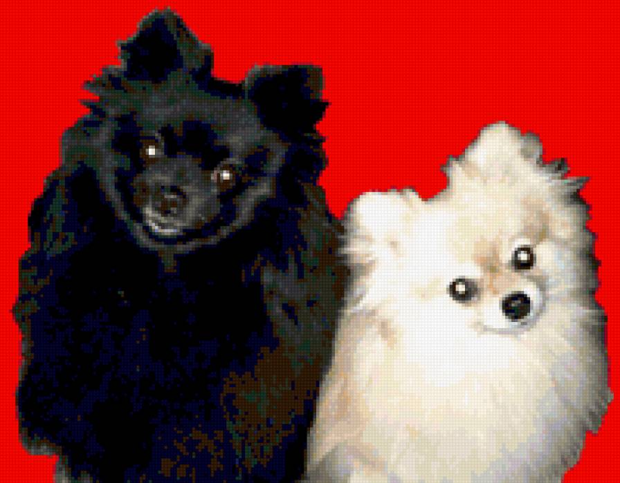 ызшсш3 - предпросмотр