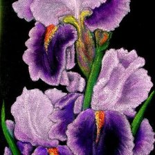 Схема вышивки «ирисы»