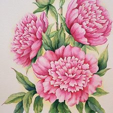 Схема вышивки «пионы»