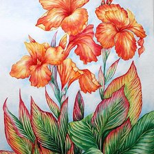 Схема вышивки «канны»