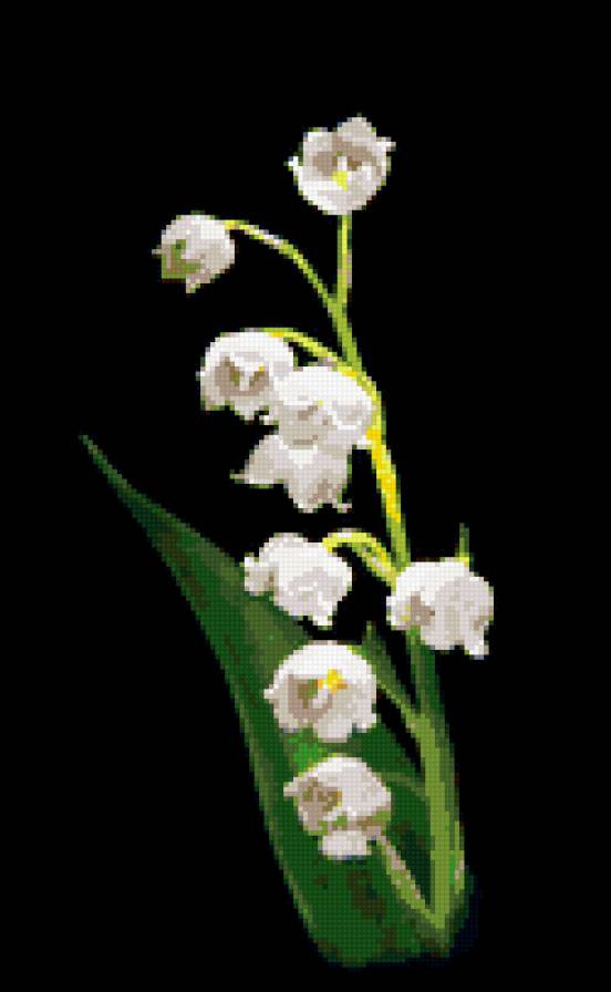 Ландыши - предпросмотр