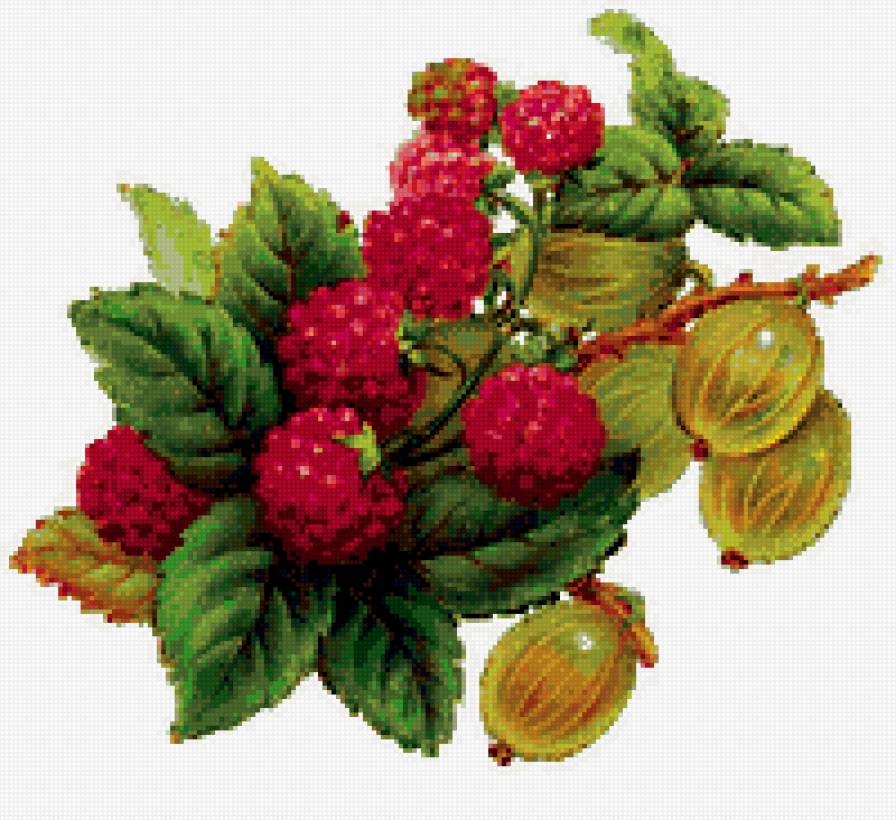 №399787 - ягоды - предпросмотр