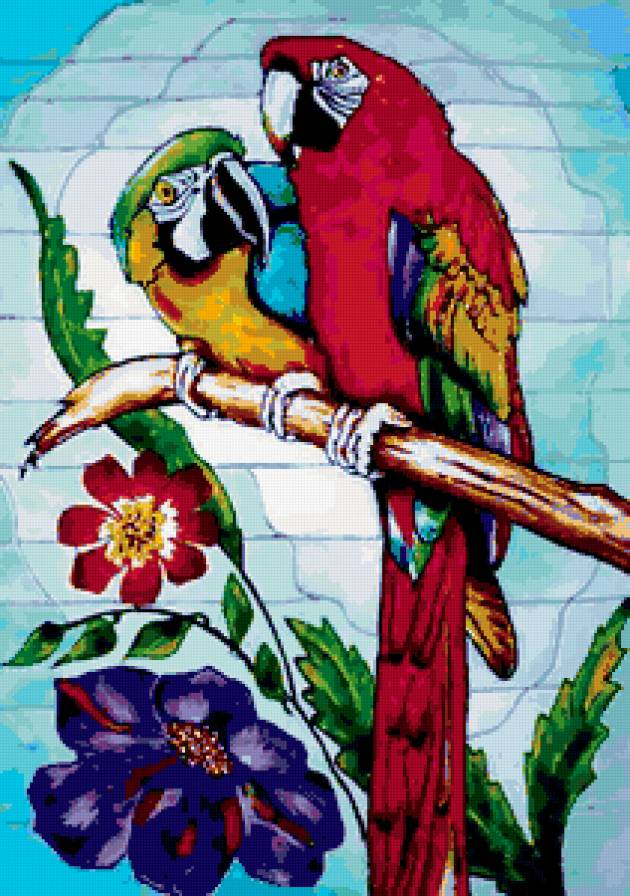 экзотические птицы - попугаи - предпросмотр