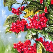 Схема вышивки «калина красная»