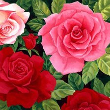 Схема вышивки «Розы»