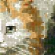 Предпросмотр схемы вышивки «cat» (№400020)