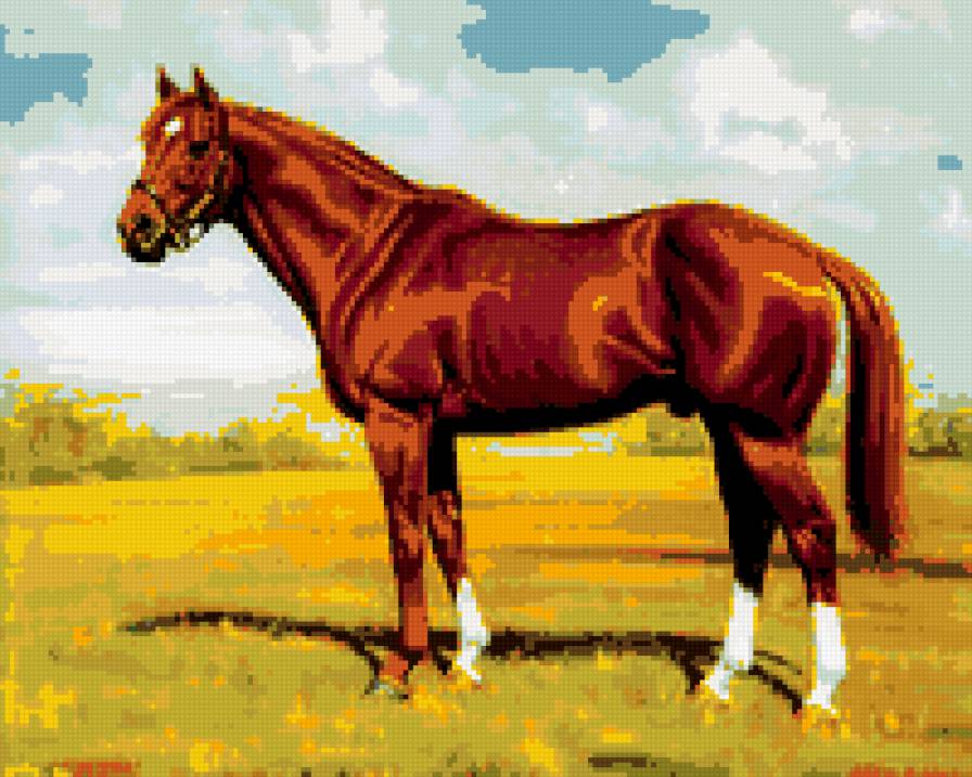 loshadi - loshadi - предпросмотр