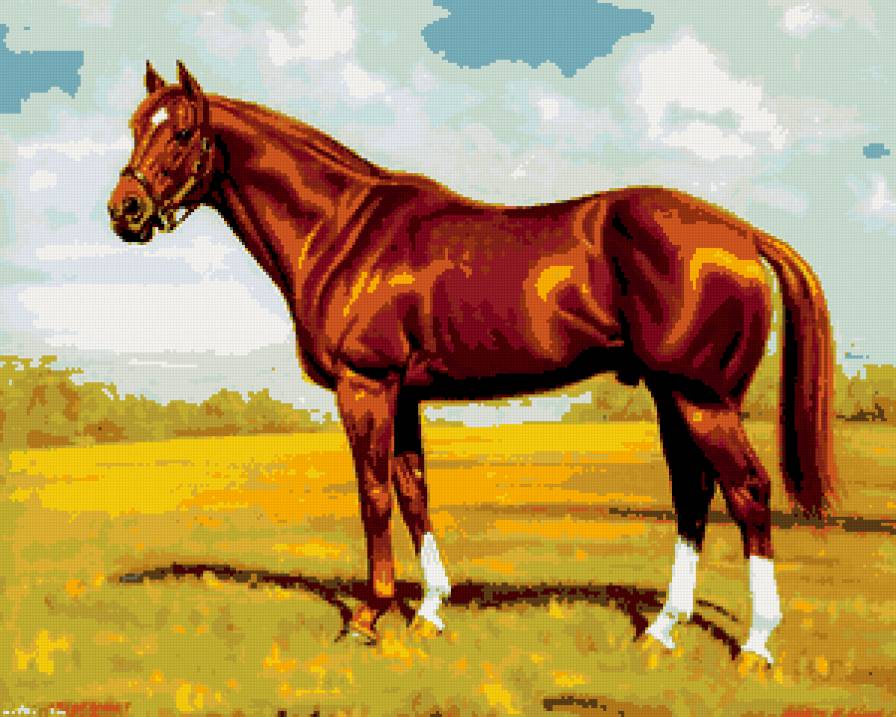 loshadi - loshadi - предпросмотр