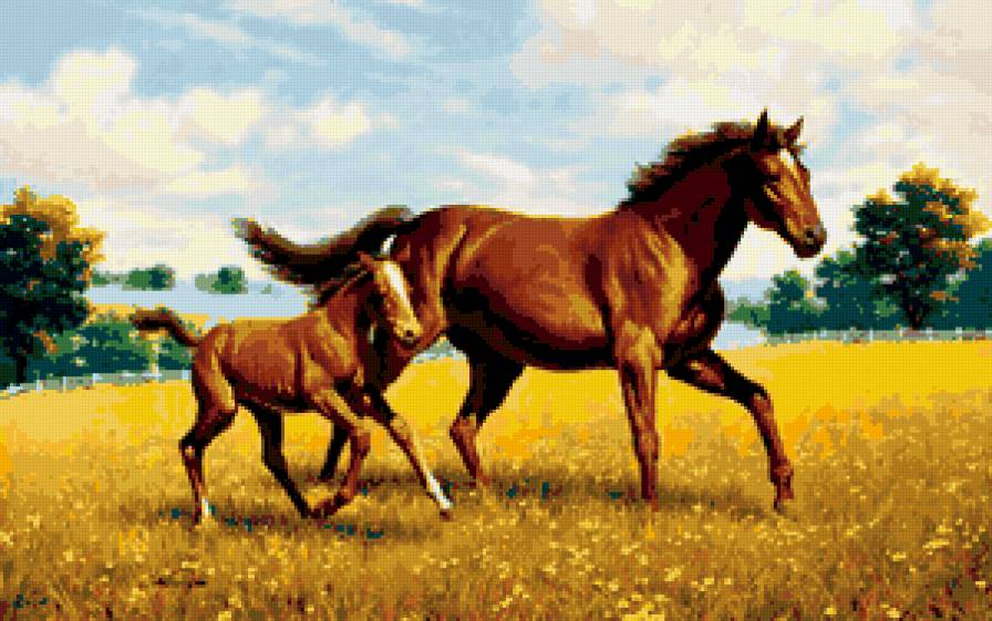 loshadi - loshadi - предпросмотр