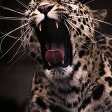 Схема вышивки «№400122»