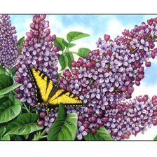 Схема вышивки «сирень и бабочка»