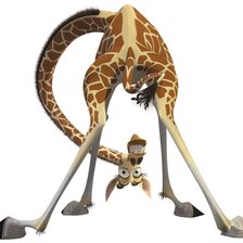 Схема вышивки «мульты»