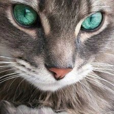 Схема вышивки «№400126»