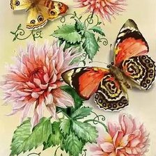 ЦВЕТЫ И БАБОЧКИ