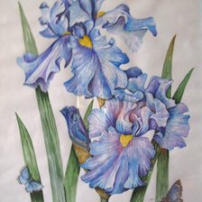 Схема вышивки «ирисы»