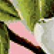 Предпросмотр схемы вышивки «магнолия» (№400286)